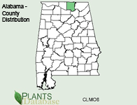 Clematis addisonii - County Distribution in Alabama
